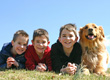 Hundehalterhaftpflichtversicherung