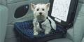 DoggySafe - Auto Sicherheitssitz für Hunde und Katzen